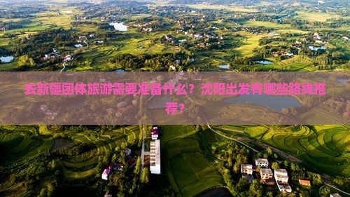 去新疆团体旅游需要准备什么？沈阳出发有哪些路线推荐？