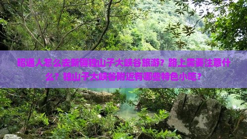 昭通人怎么去新疆独山子大峡谷旅游？路上需要注意什么？独山子大峡谷附近有哪些特色小吃？