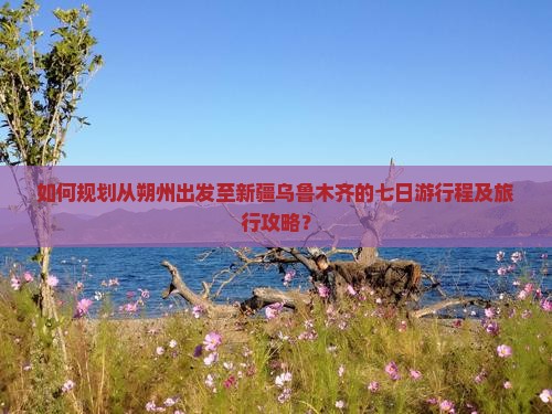 如何规划从朔州出发至新疆乌鲁木齐的七日游行程及旅行攻略？