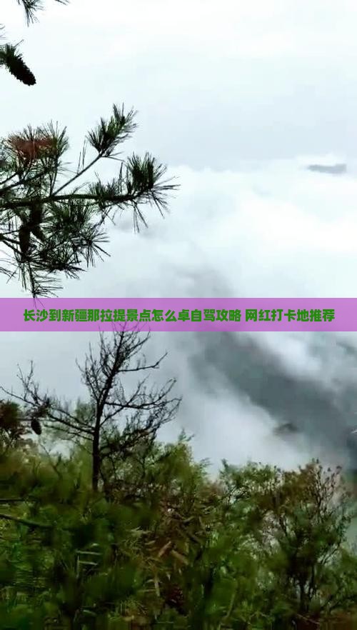 长沙到新疆那拉提景点怎么卓自驾攻略+网红打卡地推荐