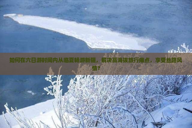 如何在六日游时间内从临夏畅游新疆，解决高海拔旅行痛点，享受丝路风情？