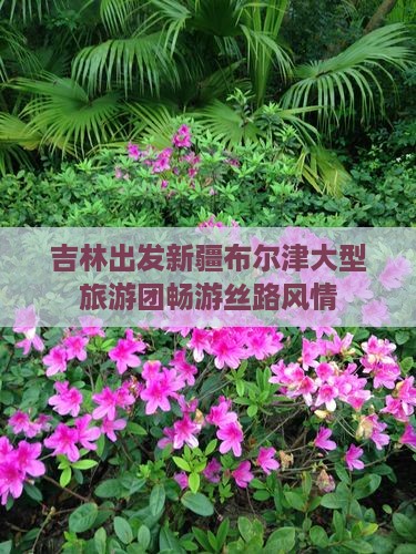 吉林出发新疆布尔津大型旅游团畅游丝路风情