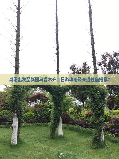 咸阳出发至新疆乌鲁木齐二日游攻略及交通住宿推荐？