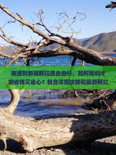 南通到新疆那拉提自由行，如何规划才能省钱又省心？包含详细攻略和最新网红景点