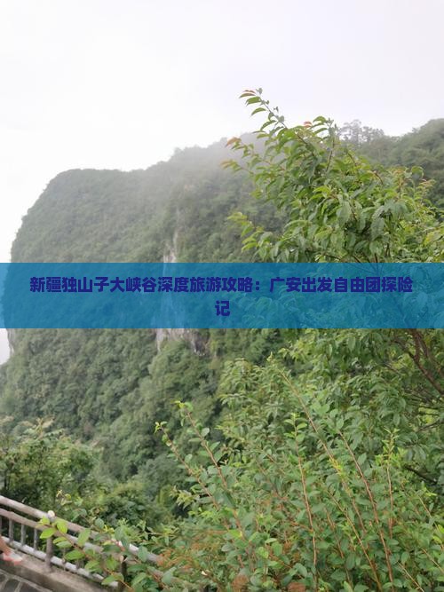 新疆独山子大峡谷深度旅游攻略：广安出发自由团探险记