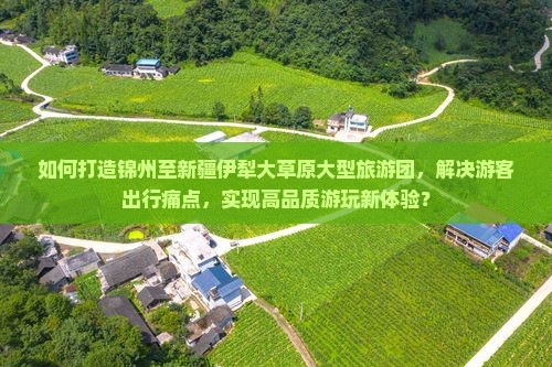 如何打造锦州至新疆伊犁大草原大型旅游团，解决游客出行痛点，实现高品质游玩新体验？