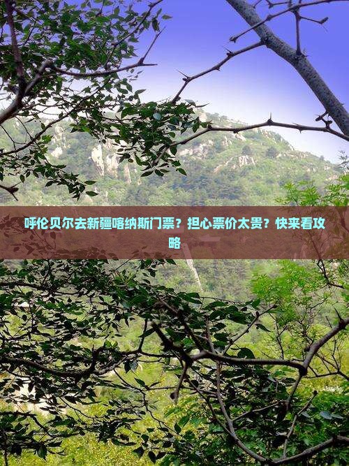 呼伦贝尔去新疆喀纳斯门票？担心票价太贵？快来看攻略