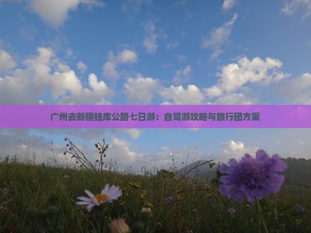 广州去新疆独库公路七日游：自驾游攻略与旅行团方案