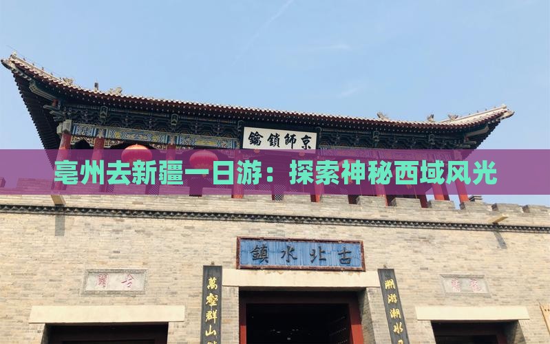 亳州去新疆一日游：探索神秘西域风光