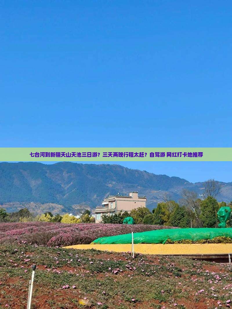 七台河到新疆天山天池三日游？三天两晚行程太赶？自驾游+网红打卡地推荐