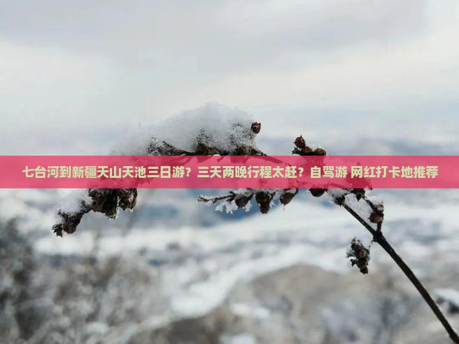 七台河到新疆天山天池三日游？三天两晚行程太赶？自驾游+网红打卡地推荐