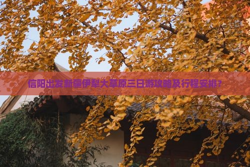 信阳出发新疆伊犁大草原三日游攻略及行程安排？