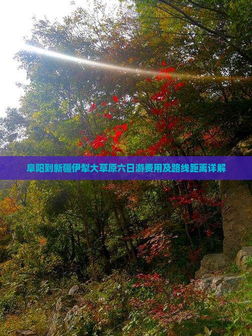 阜阳到新疆伊犁大草原六日游费用及路线距离详解