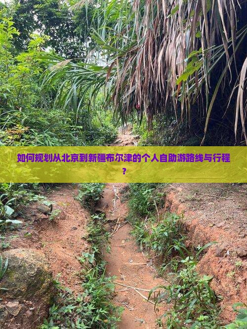 如何规划从北京到新疆布尔津的个人自助游路线与行程？