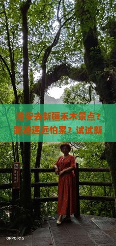 淮安去新疆禾木景点？路途遥远怕累？试试新词种草去旅行