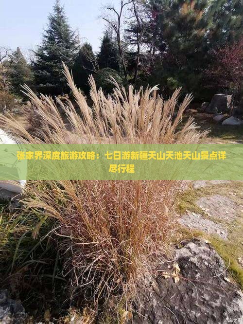 张家界深度旅游攻略：七日游新疆天山天池天山景点详尽行程