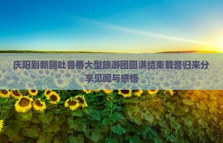 庆阳到新疆吐鲁番大型旅游团圆满结束载誉归来分享见闻与感悟