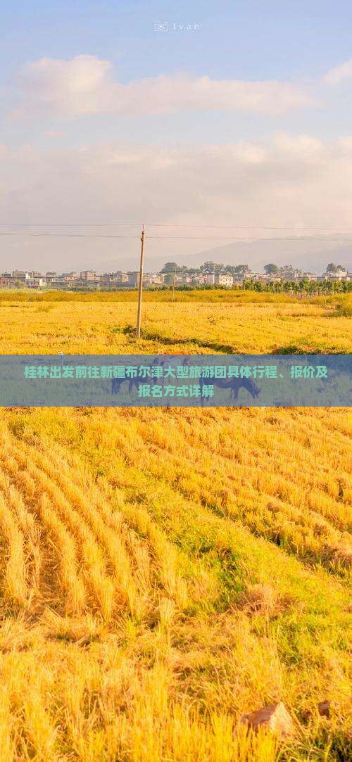 桂林出发前往新疆布尔津大型旅游团具体行程、报价及报名方式详解