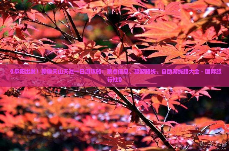 《阜阳出发！新疆天山天池一日游攻略：景点信息、旅游路线、自助游线路大全 - 国际旅行社》