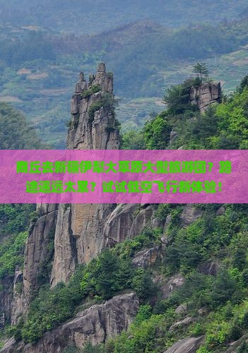 商丘去新疆伊犁大草原大型旅游团？路途遥远太累？试试低空飞行新体验！