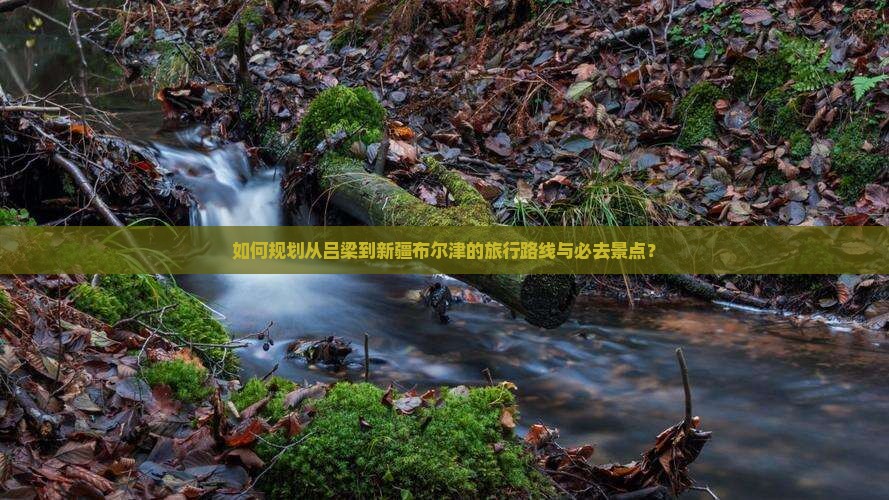 如何规划从吕梁到新疆布尔津的旅行路线与必去景点？