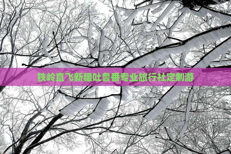 铁岭直飞新疆吐鲁番专业旅行社定制游