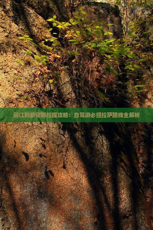 丽江到新疆那拉提攻略：自驾游必经拉萨路线全解析