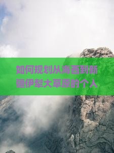 如何规划从海西到新疆伊犁大草原的个人旅行路线及注意事项？