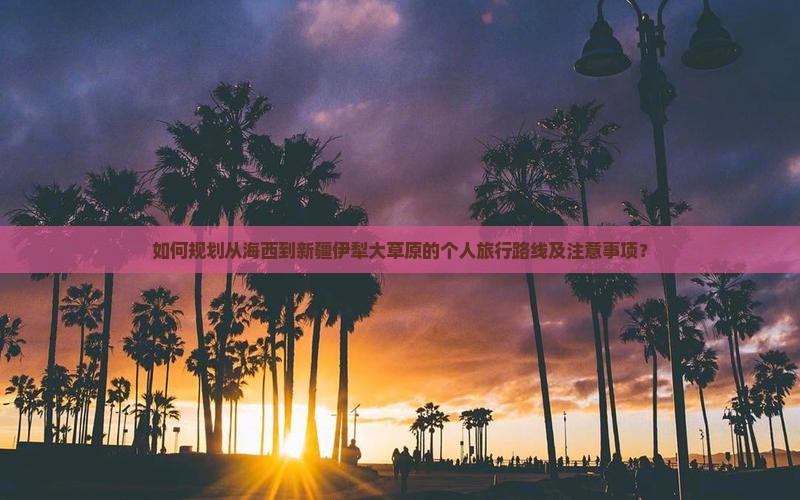 如何规划从海西到新疆伊犁大草原的个人旅行路线及注意事项？