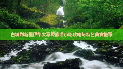白城到新疆伊犁大草原旅游小吃攻略与特色美食推荐