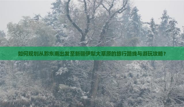 如何规划从黔东南出发至新疆伊犁大草原的旅行路线与游玩攻略？