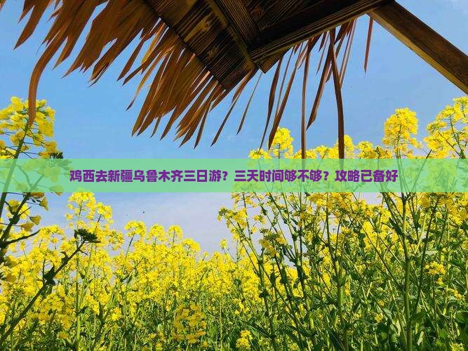 鸡西去新疆乌鲁木齐三日游？三天时间够不够？攻略已备好
