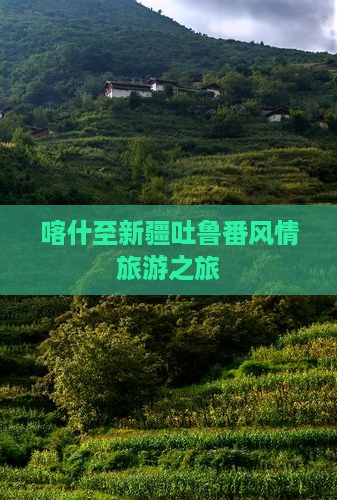 喀什至新疆吐鲁番风情旅游之旅