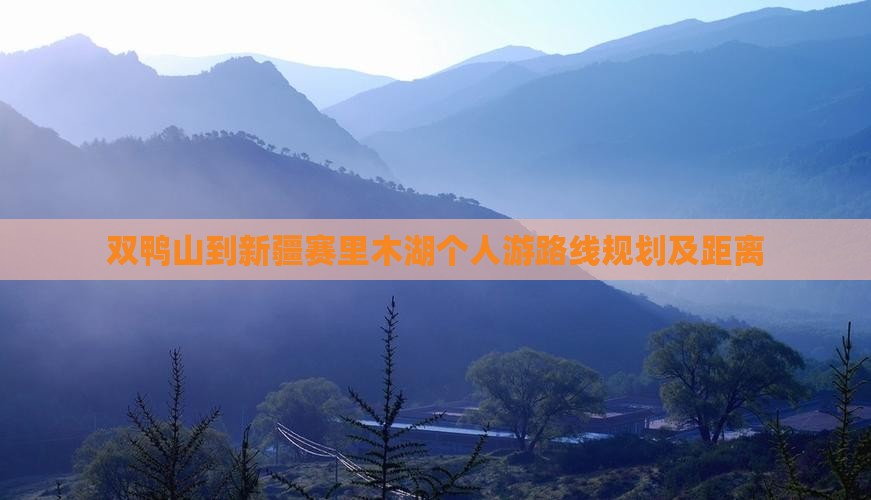 双鸭山到新疆赛里木湖个人游路线规划及距离