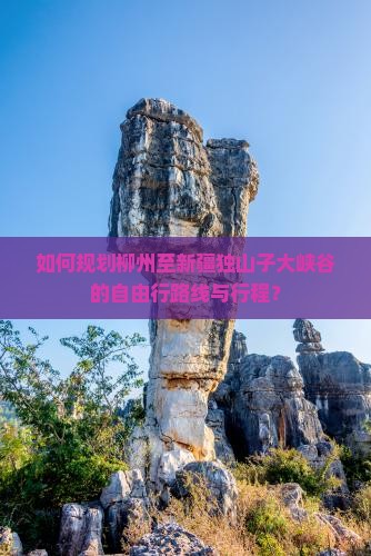 如何规划柳州至新疆独山子大峡谷的自由行路线与行程？