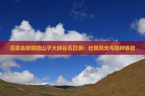 吕梁去新疆独山子大峡谷五日游：壮美风光与独特体验