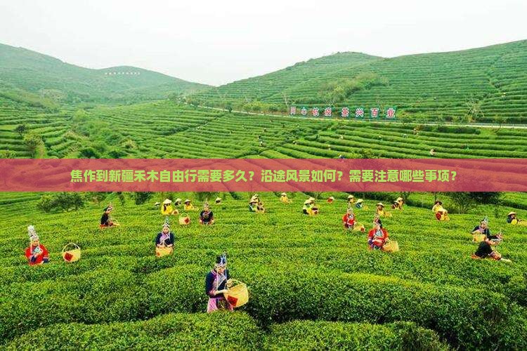 焦作到新疆禾木自由行需要多久？沿途风景如何？需要注意哪些事项？