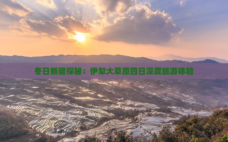 冬日新疆探秘：伊犁大草原四日深度旅游体验