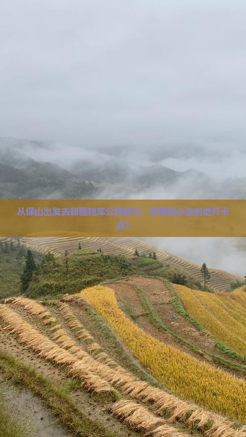 从保山出发去新疆独库公路旅行，有哪些必去的地打卡点？