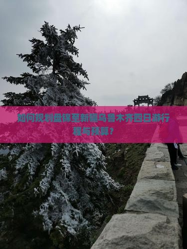 如何规划盘锦至新疆乌鲁木齐四日游行程与预算？