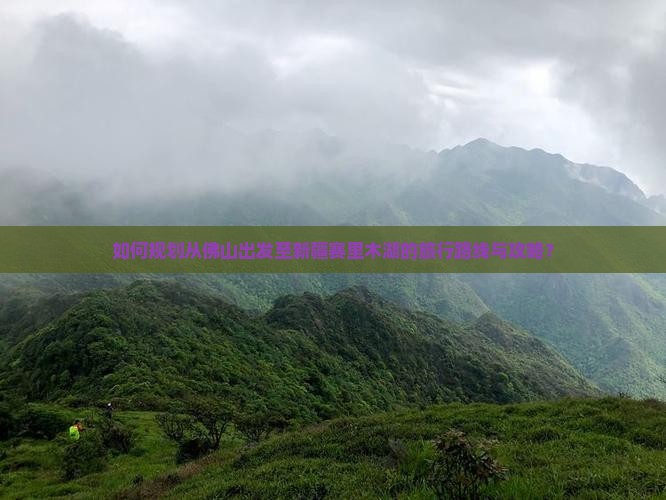 如何规划从佛山出发至新疆赛里木湖的旅行路线与攻略？