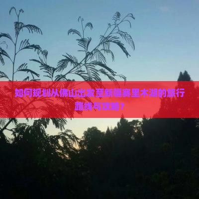 如何规划从佛山出发至新疆赛里木湖的旅行路线与攻略？