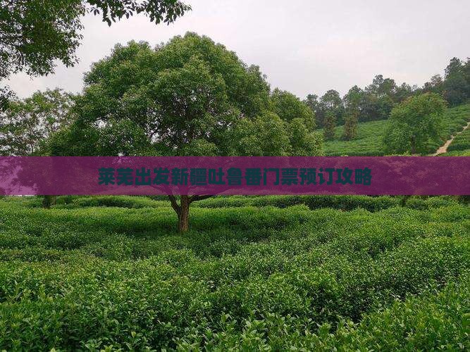 莱芜出发新疆吐鲁番门票预订攻略