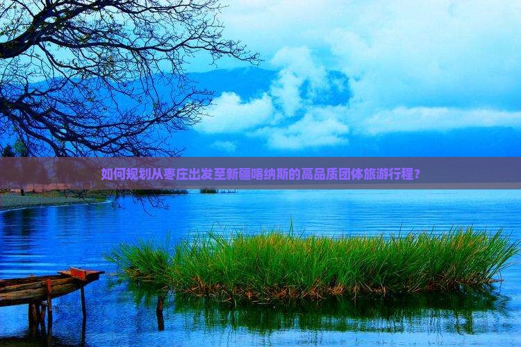 如何规划从枣庄出发至新疆喀纳斯的高品质团体旅游行程？