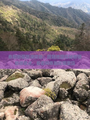泰勒新疆旅游攻略：跟随地图探秘新疆旅游景点，看看阿泰勒在哪里玩