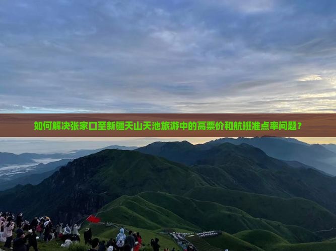 如何解决张家口至新疆天山天池旅游中的高票价和航班准点率问题？
