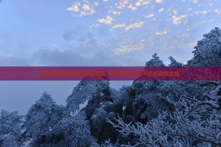 襄樊去新疆独库公路自由团：探秘天山风光与民族风情之旅