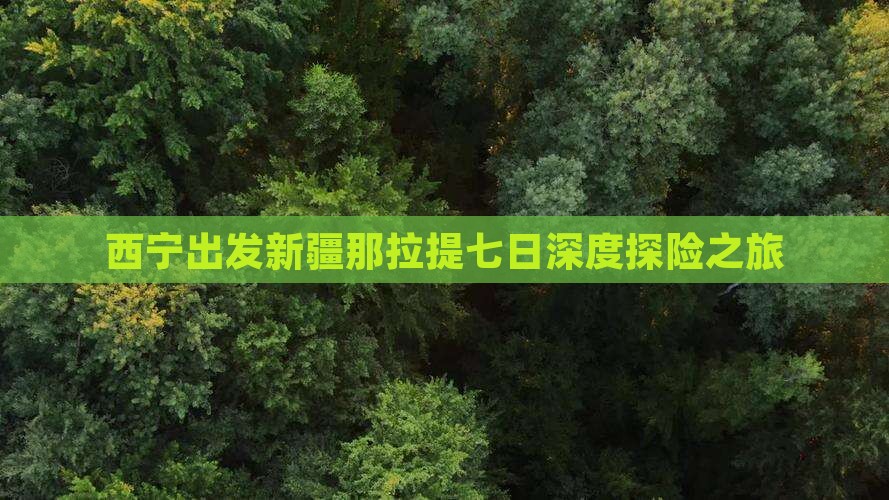 西宁出发新疆那拉提七日深度探险之旅