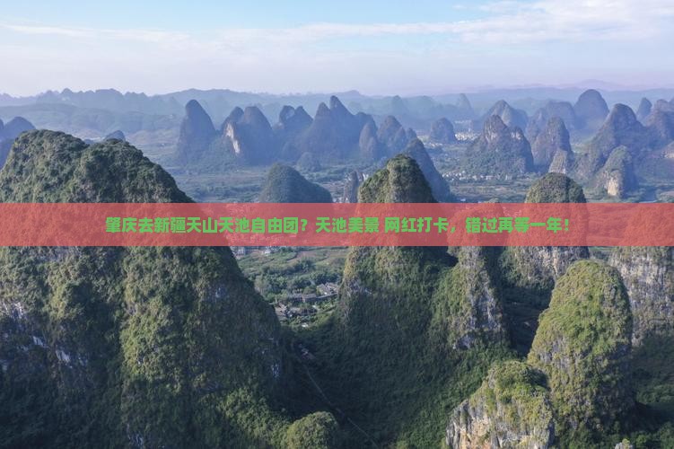 肇庆去新疆天山天池自由团？天池美景+网红打卡，错过再等一年！