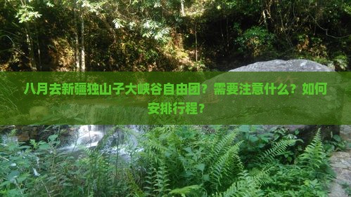 八月去新疆独山子大峡谷自由团？需要注意什么？如何安排行程？